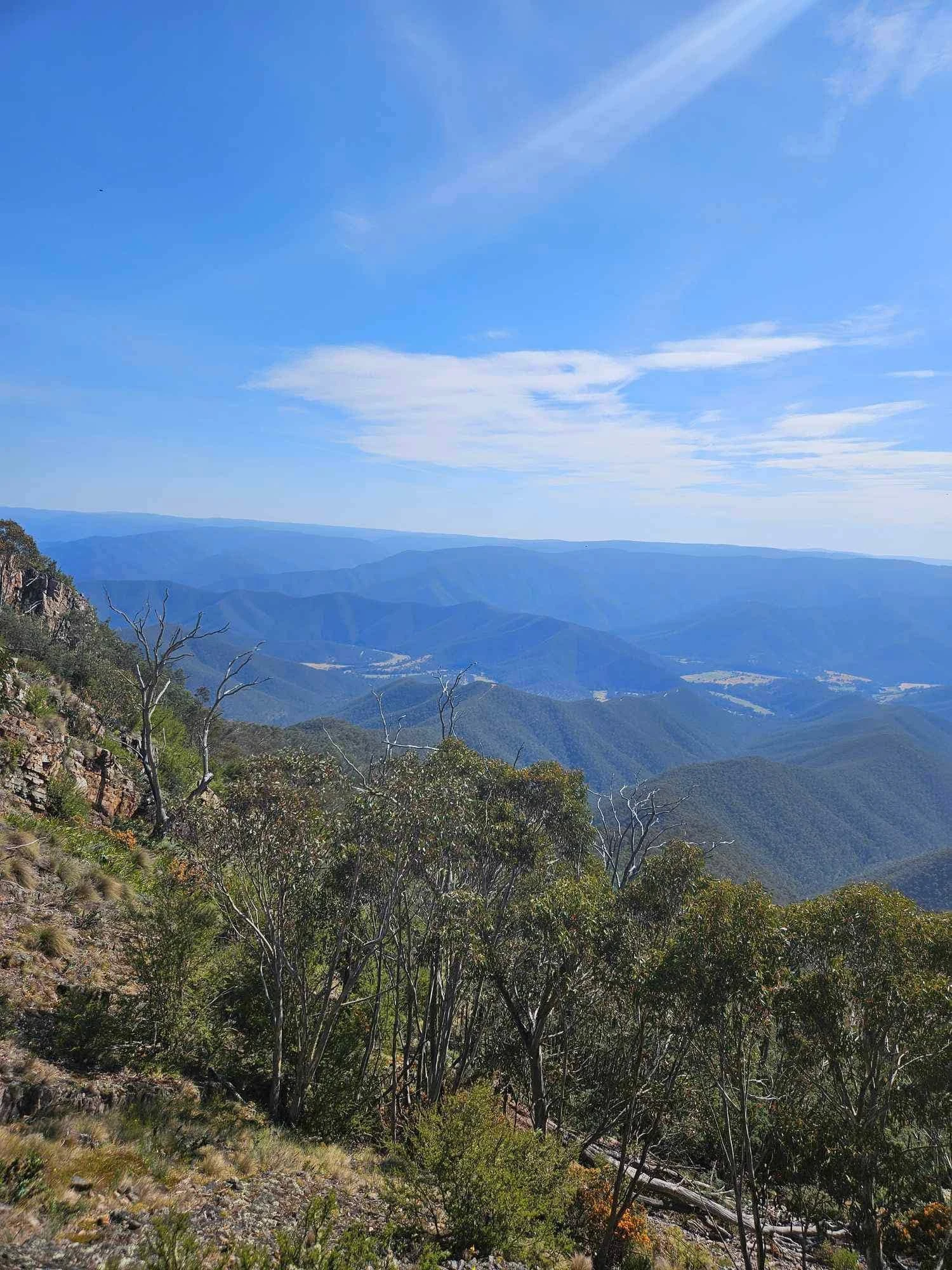 Australian high-country mountain ranges viewed through native bushland
